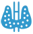 endokrynologia